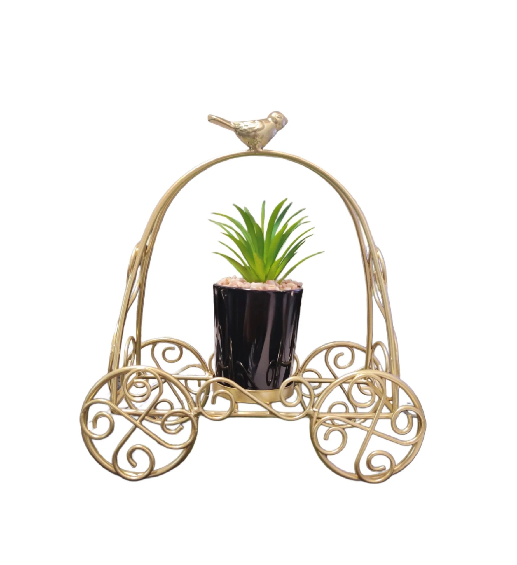 Cinderella carriage potted plant Cinderella carriage potted plant - Image 1