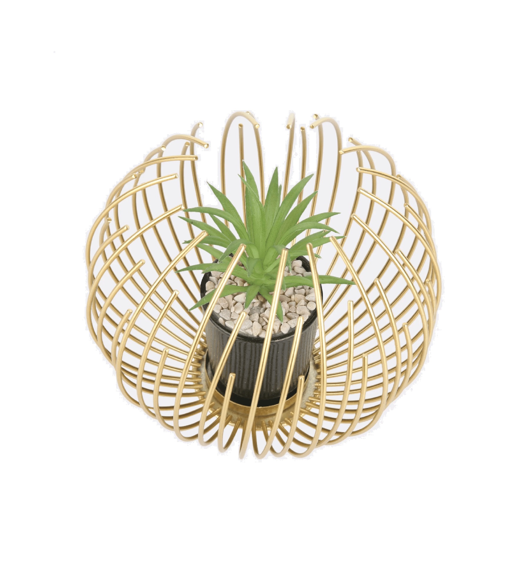Golden Basket potted plant Golden Basket potted plant - Image 1