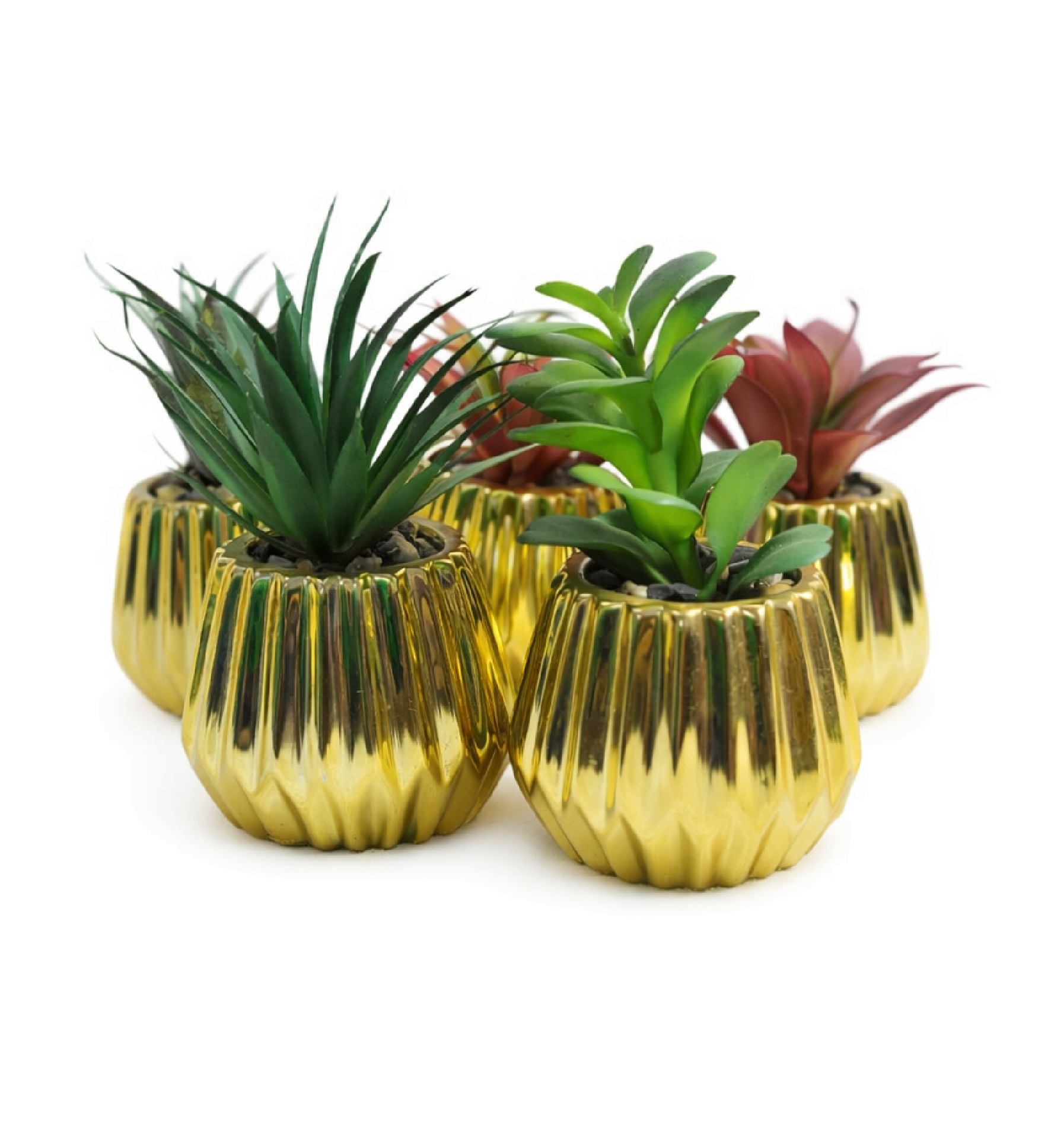 Wine Potted plant Wine Potted plant - Image 1